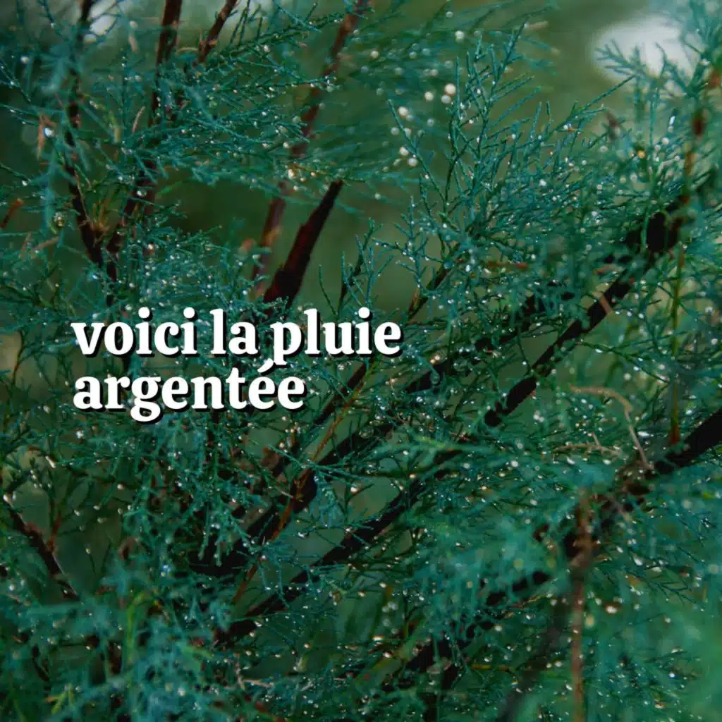 Voici La Pluie Argentée