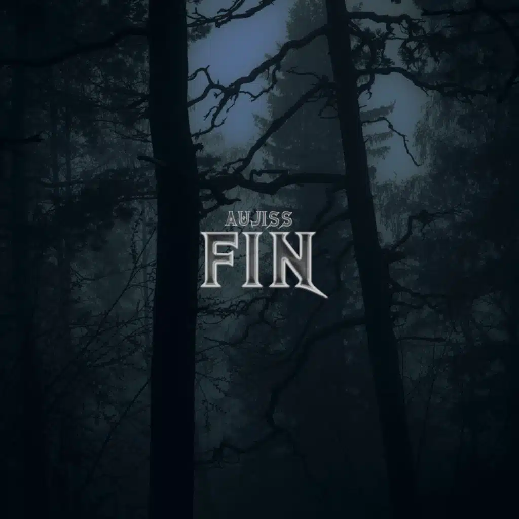 Fin