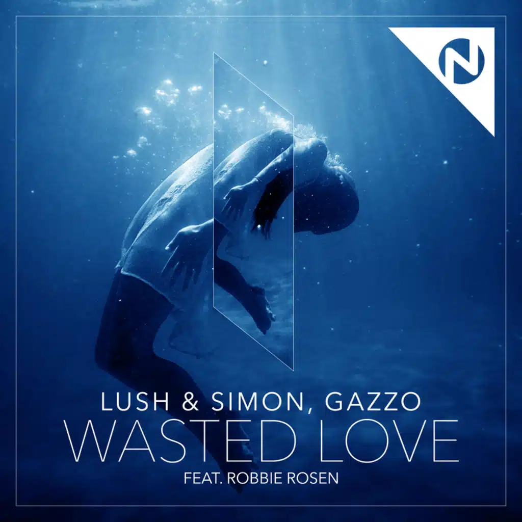 Wasted Love (feat. Robbie Rosen)