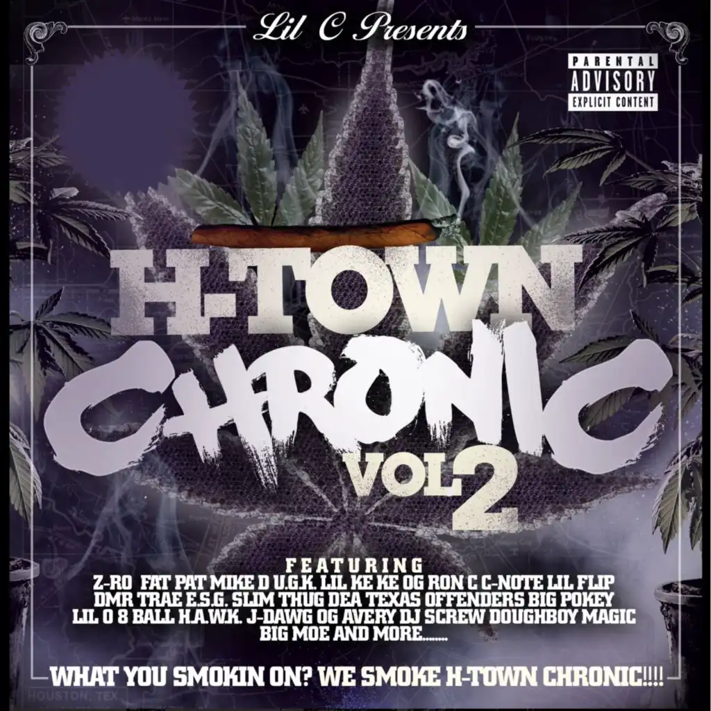H-Town Chronic Pt. 2