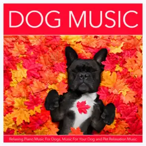 Peaceful Dog Music For Dogs (feat. Dog Music Library)