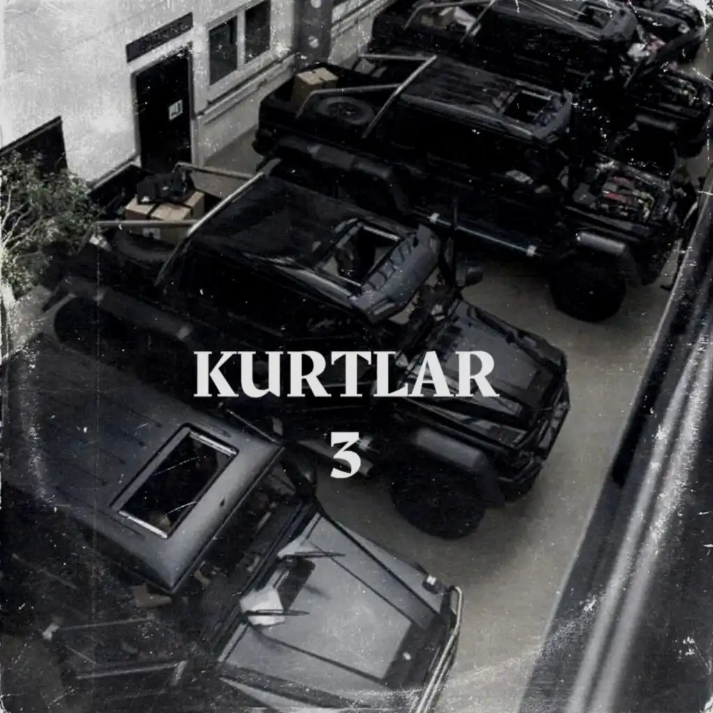 Kurtlar 3