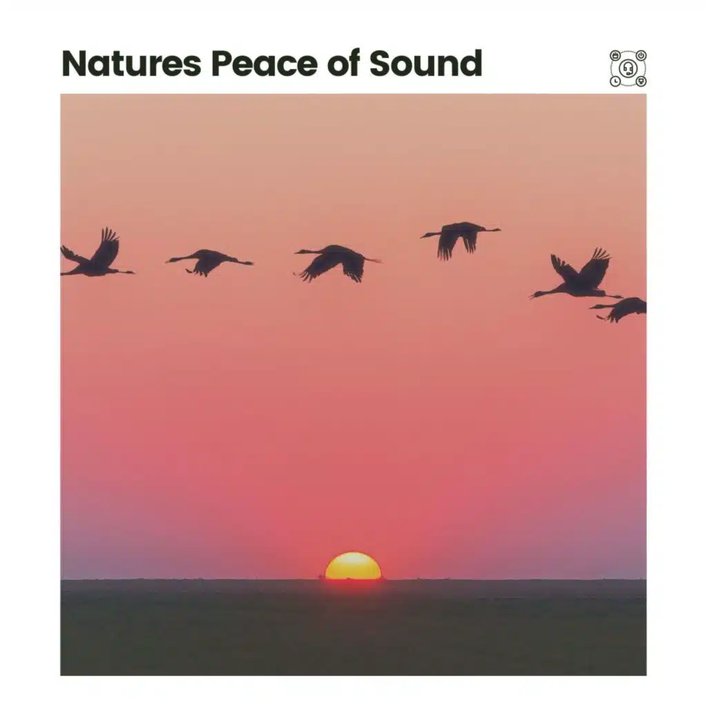 Natures Peace of Sound