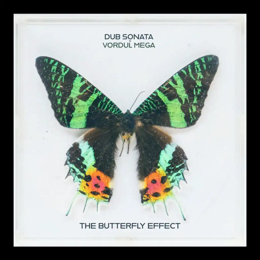 The Butterfly Effect (feat. Vordul Mega)