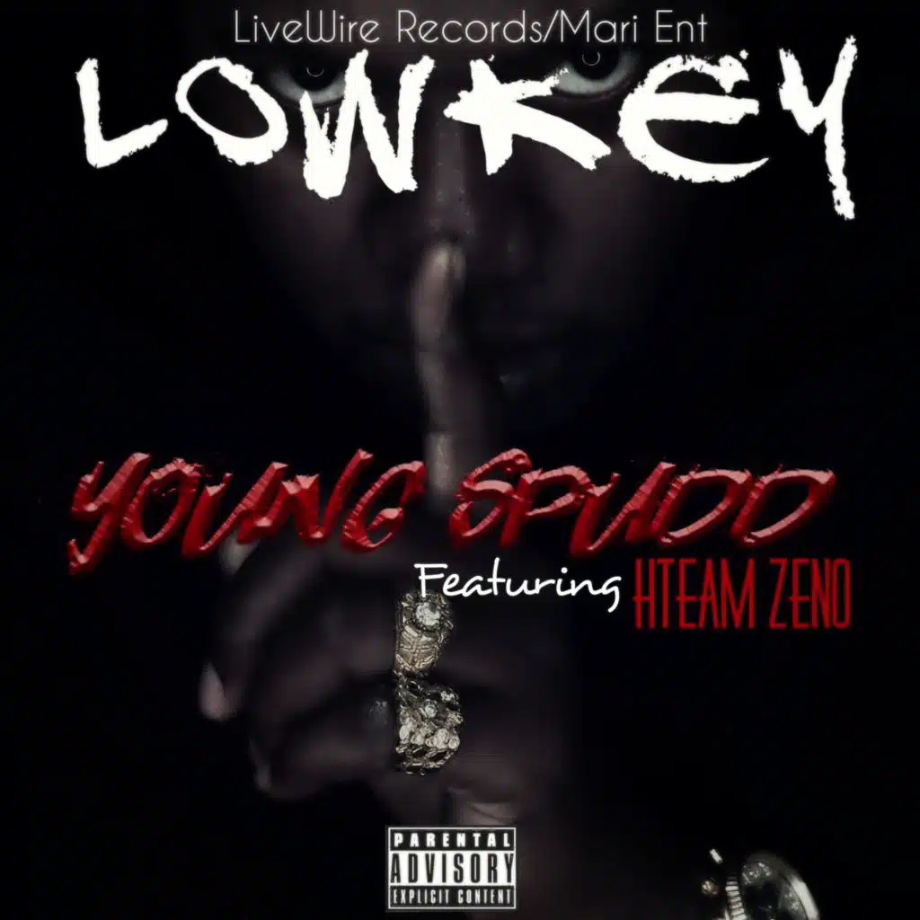 LowKey (feat. HTeam Zeno)