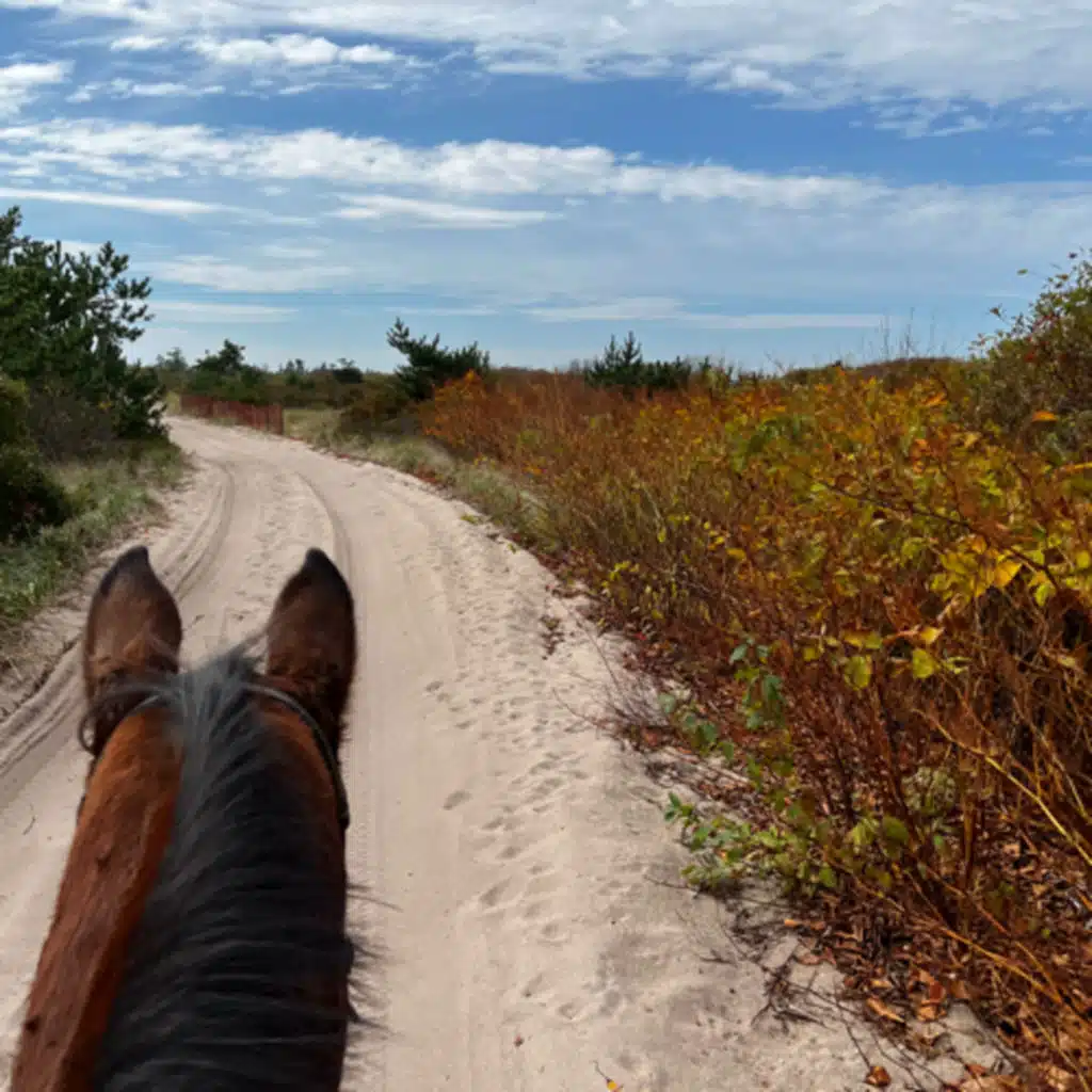 Give and Take, Apples and Carrots, and SOH