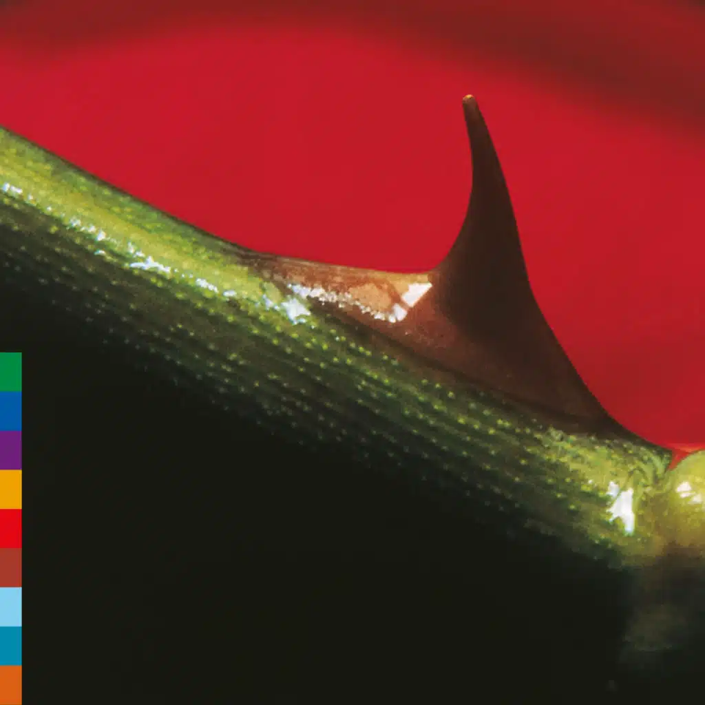 Nusrat Fateh Ali Khan & Michael Brook