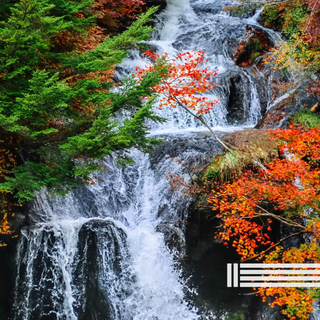 Cascada Pacífica (Bucle)