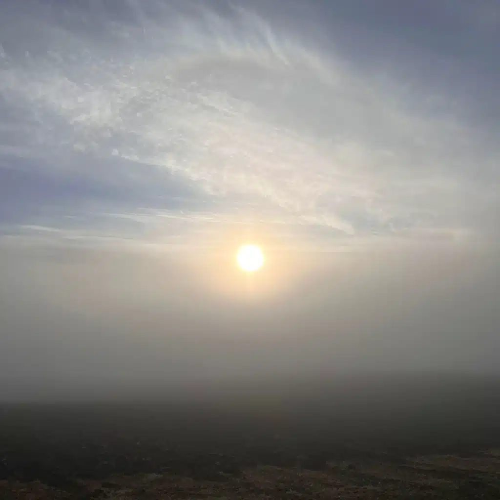 Newborn (feat. Hegelund)