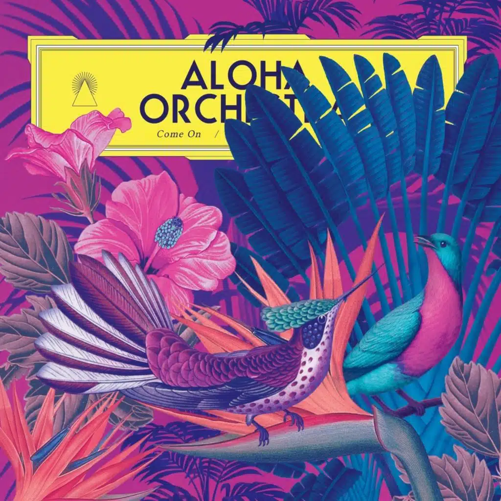 Aloha Orchestra