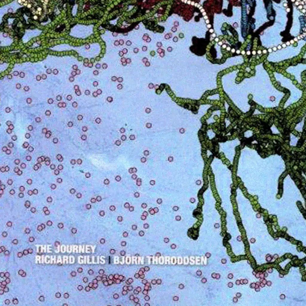 Richard Gillis & Björn Thoroddsen