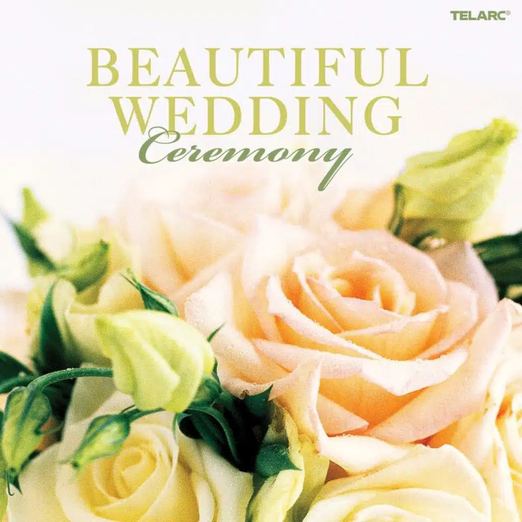 J.S. Bach: Brandenburg Concerto No. 5 in D Major, BWV 1050: I. Allegro (Excerpt)