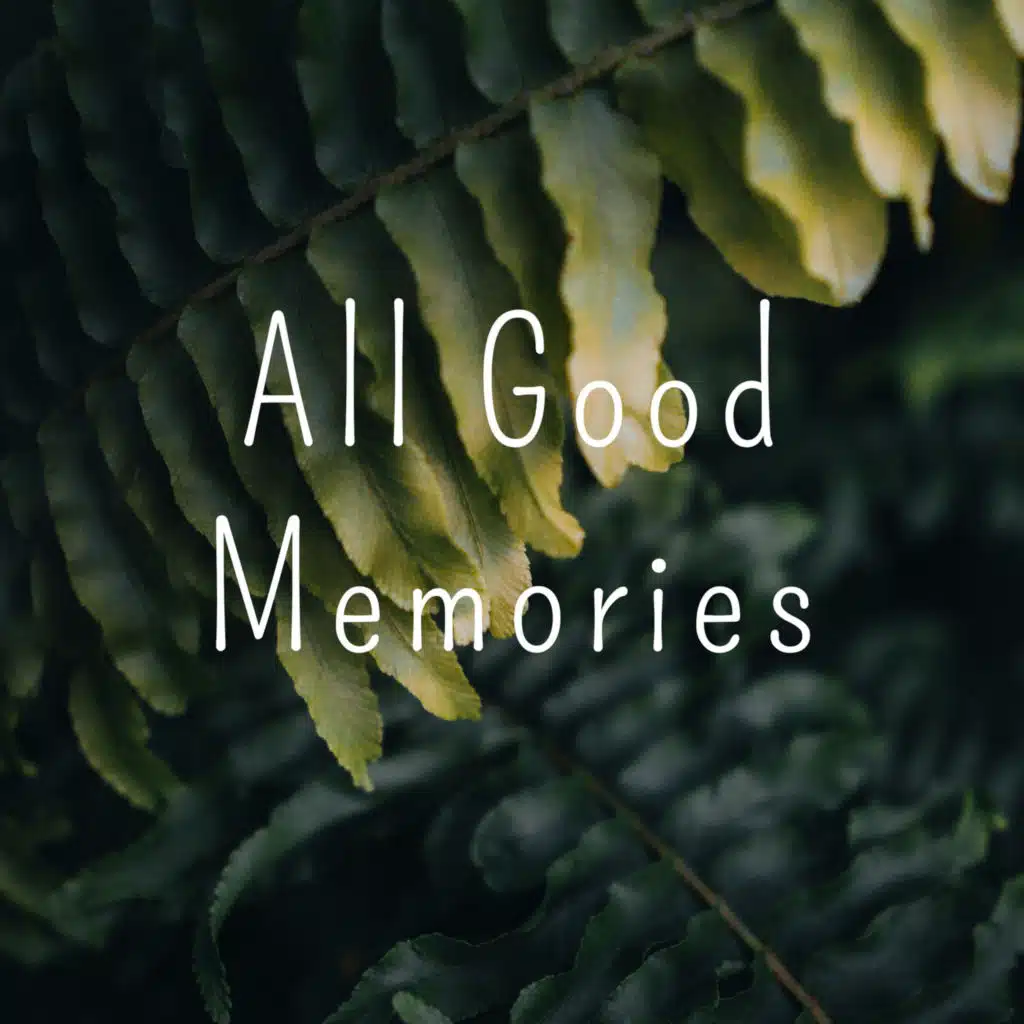 All Good Memories