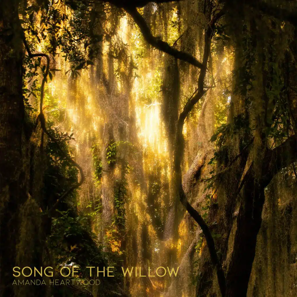 Song Of The Willow