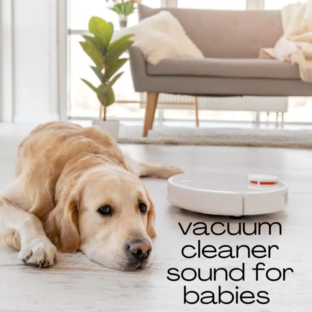 Vaccum Cleaner Sound for Babies by Deep Sleep Vacuum Cleaners, Vacuum