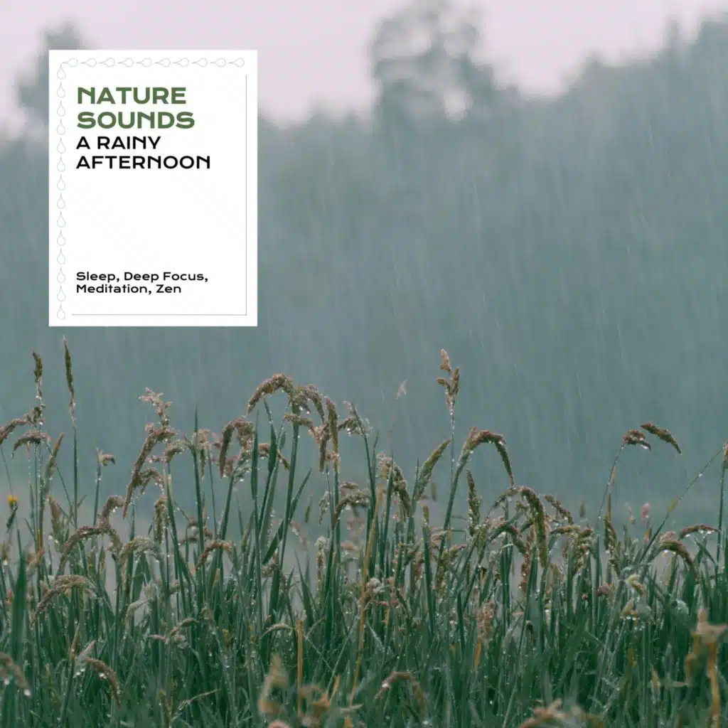 Nature Sounds: A Rainy Afternoon
