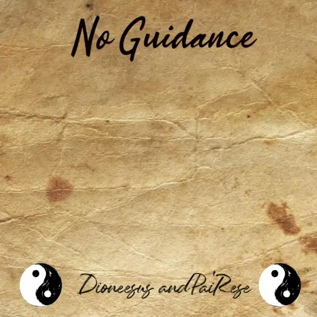 No Guidance