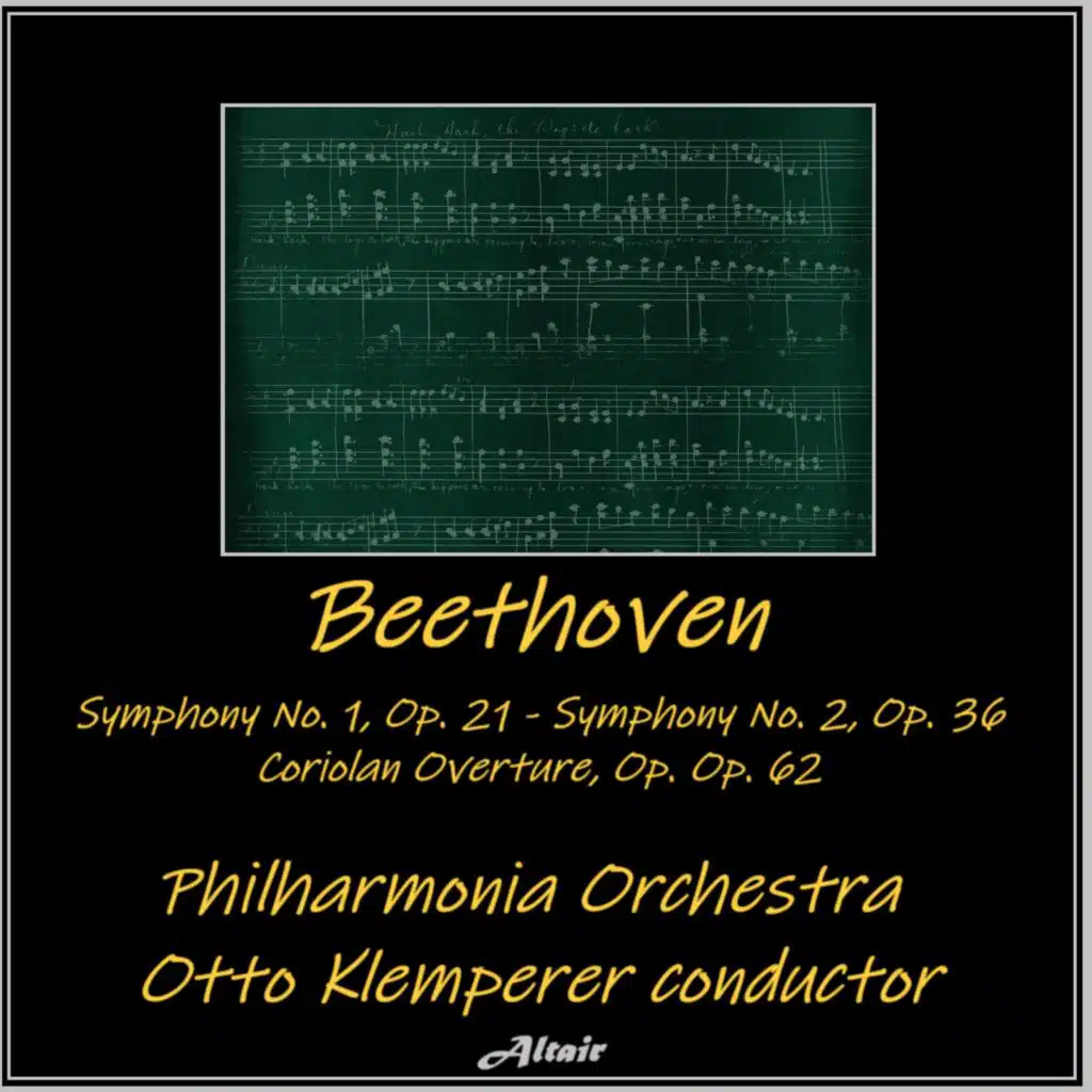 Symphony NO. 1 in C Major, Op. 21: II. Andante Cantabile Con Moto