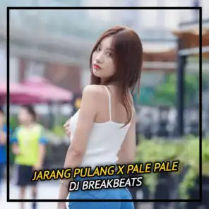 DJ Breakbeats