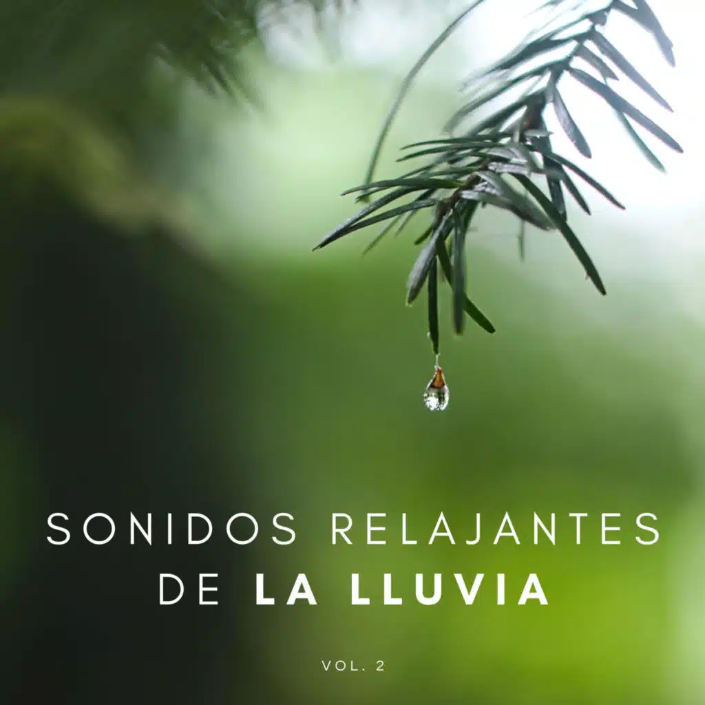 Música para Dormir Con Relajantes Sonidos de la Naturaleza, Descansa & Relajante