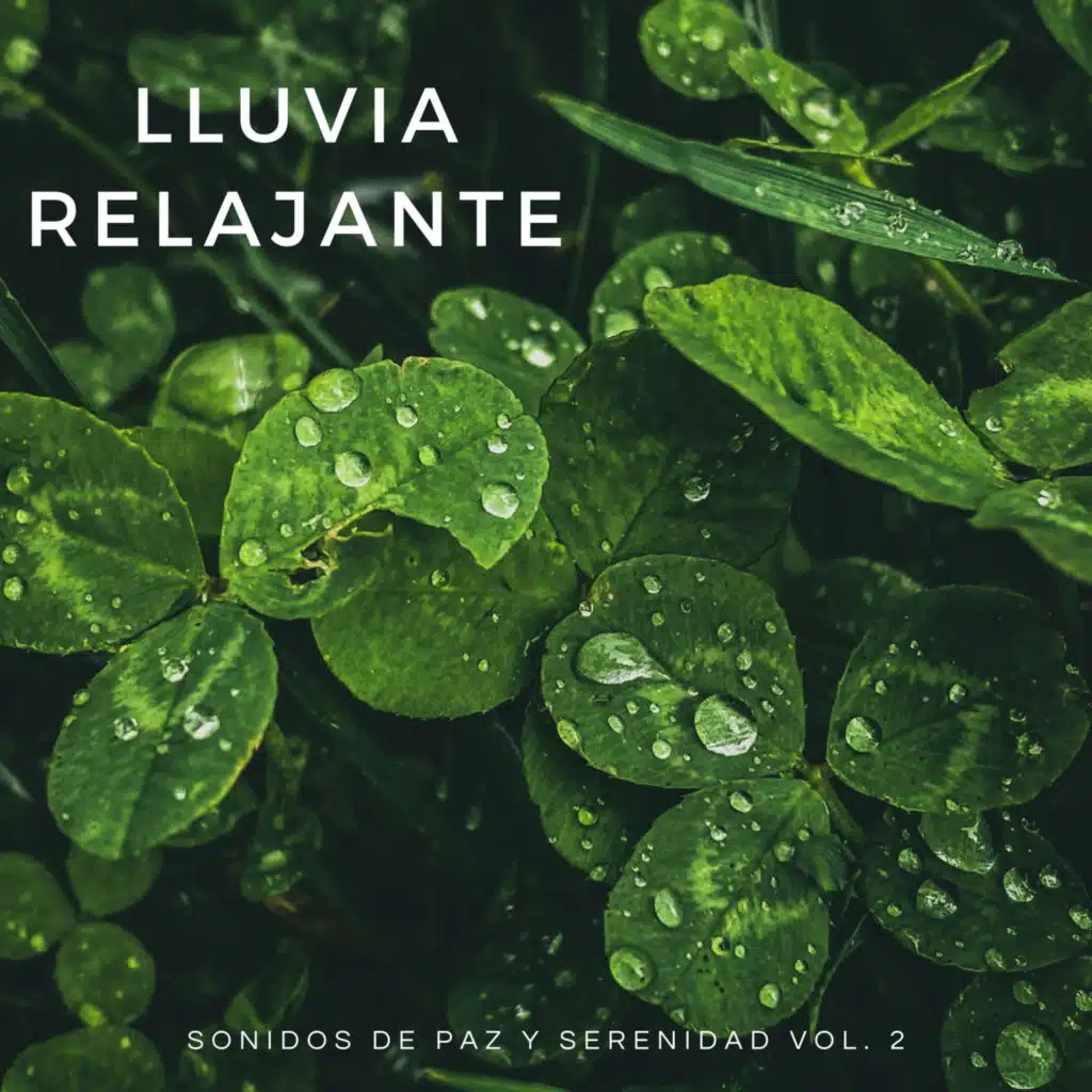 Sonidos De Lluvia y Tormentas, Fabricantes De Lluvia & La mejor musica instrumental