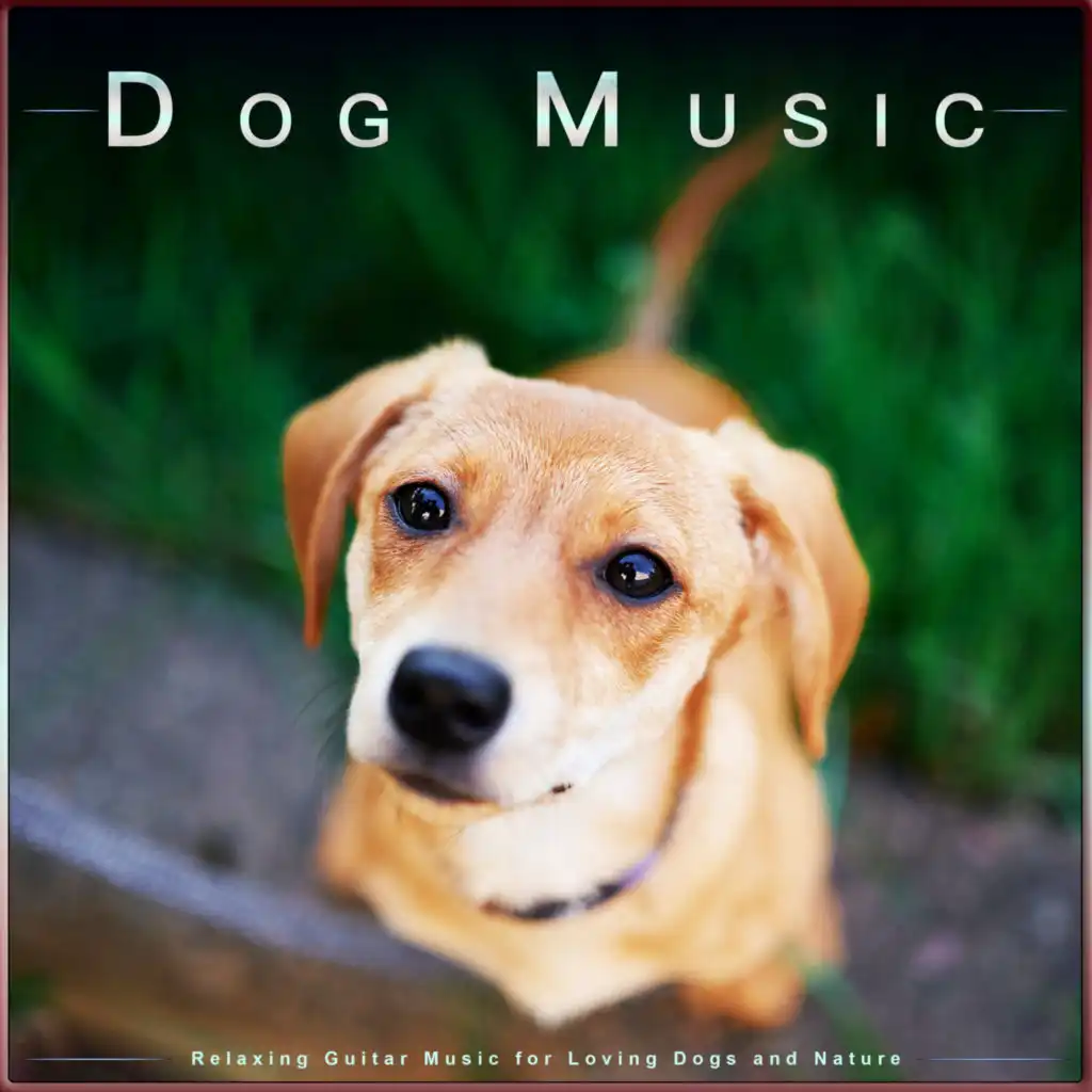 Dog Music, Music For Dogs, Sleeping Music For Dogs