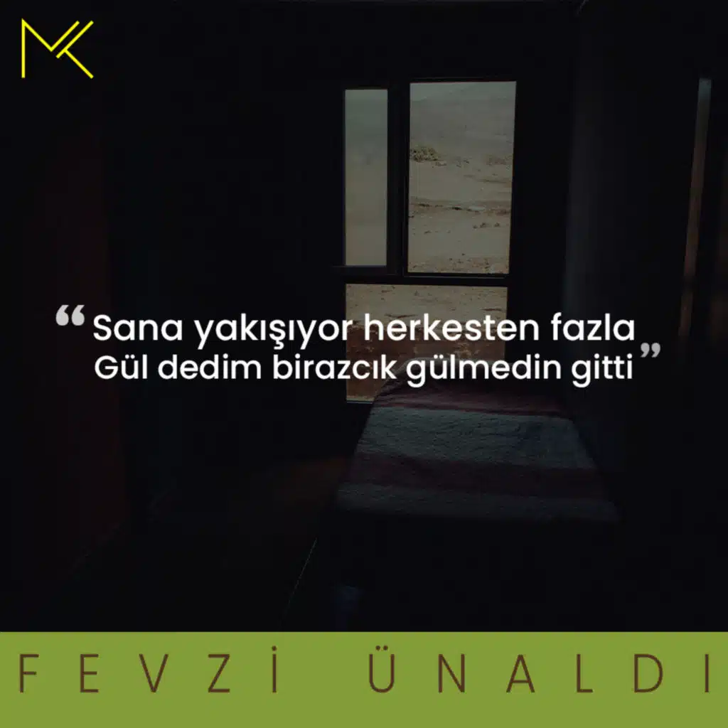 Gelmedin Gitti • Fevzi Ünaldı