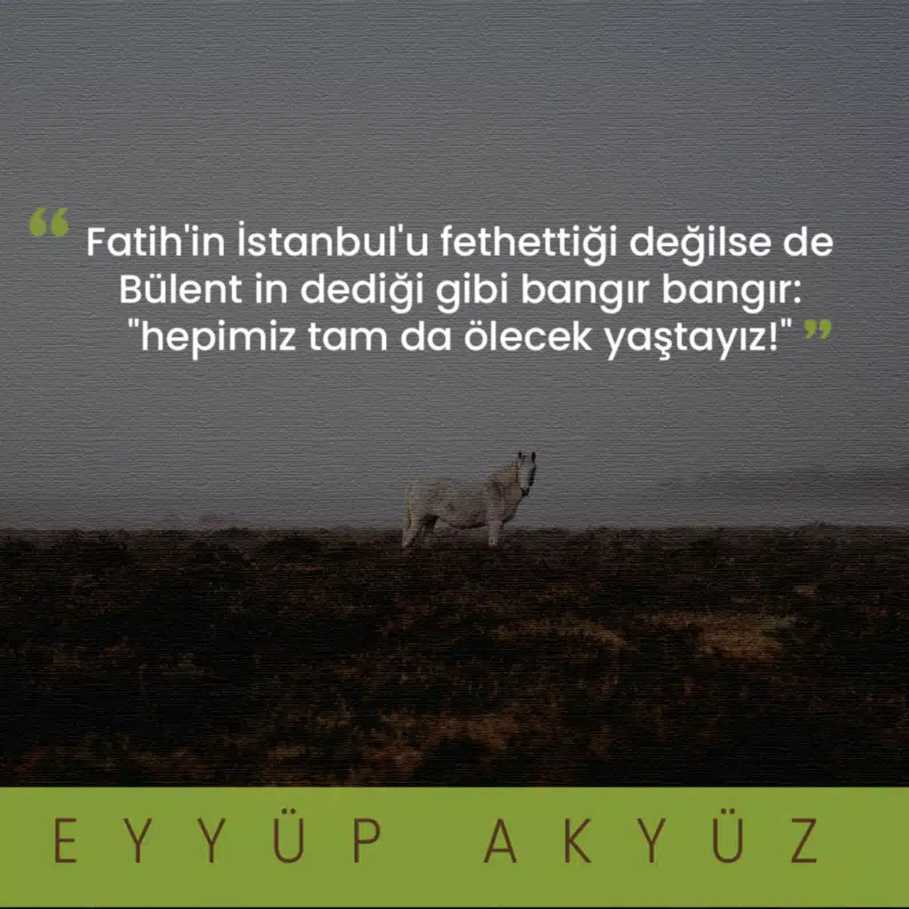 Olay Yeri İnceleme • Eyyüp Akyüz