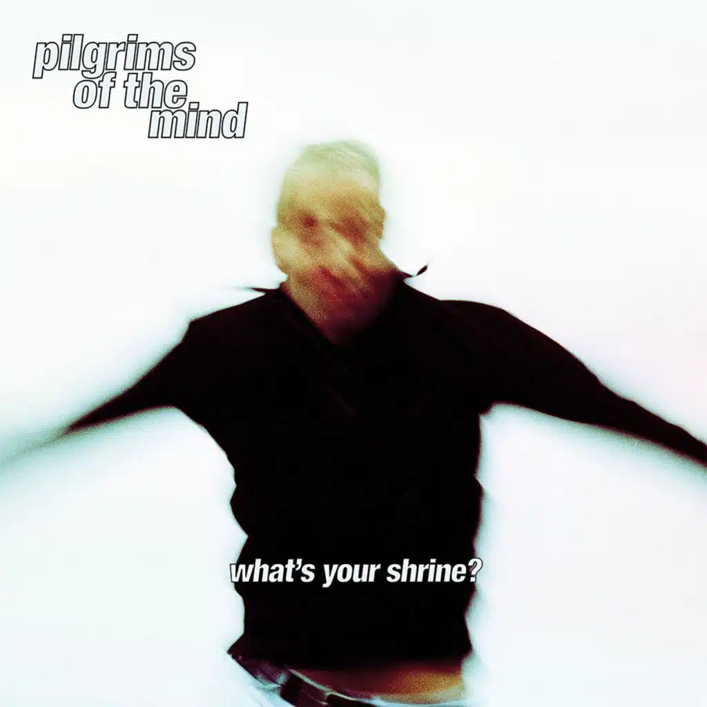 Pilgrims Of The Mind
