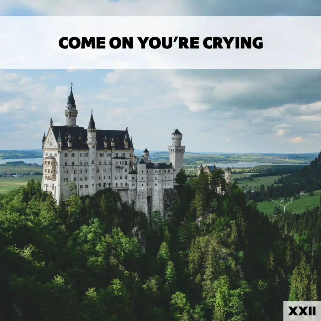 Come On You're Crying XXII
