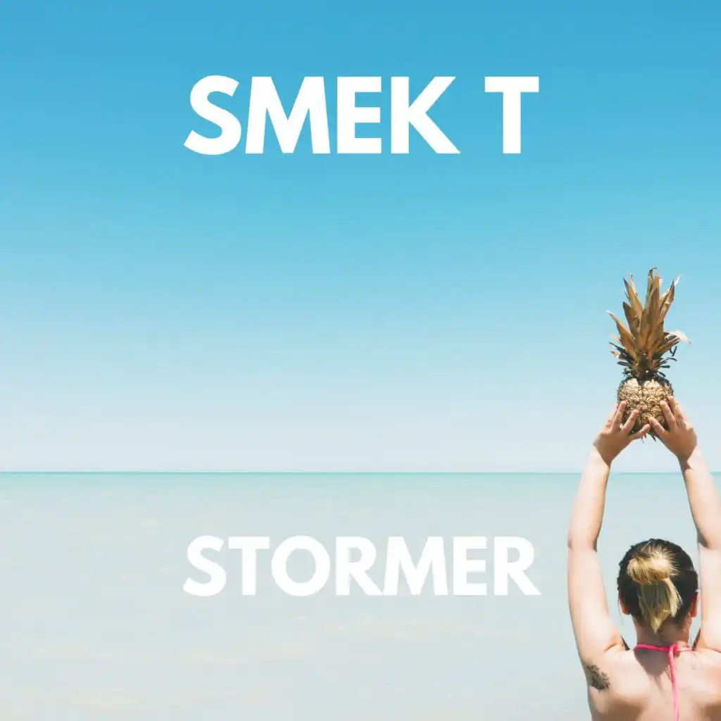 Stormer