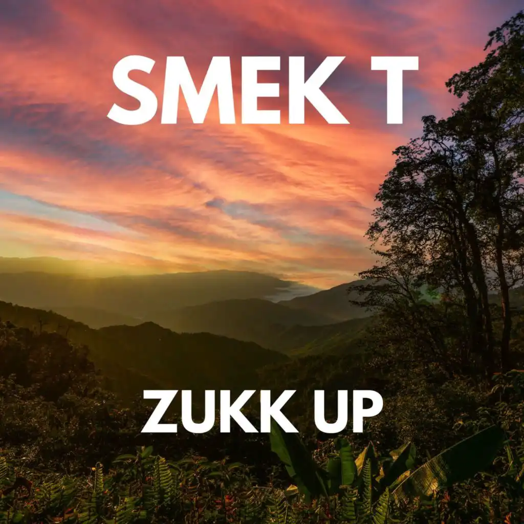 ZUKK UP