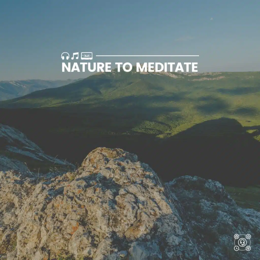 Morning Nature Sounds, Pt. 18