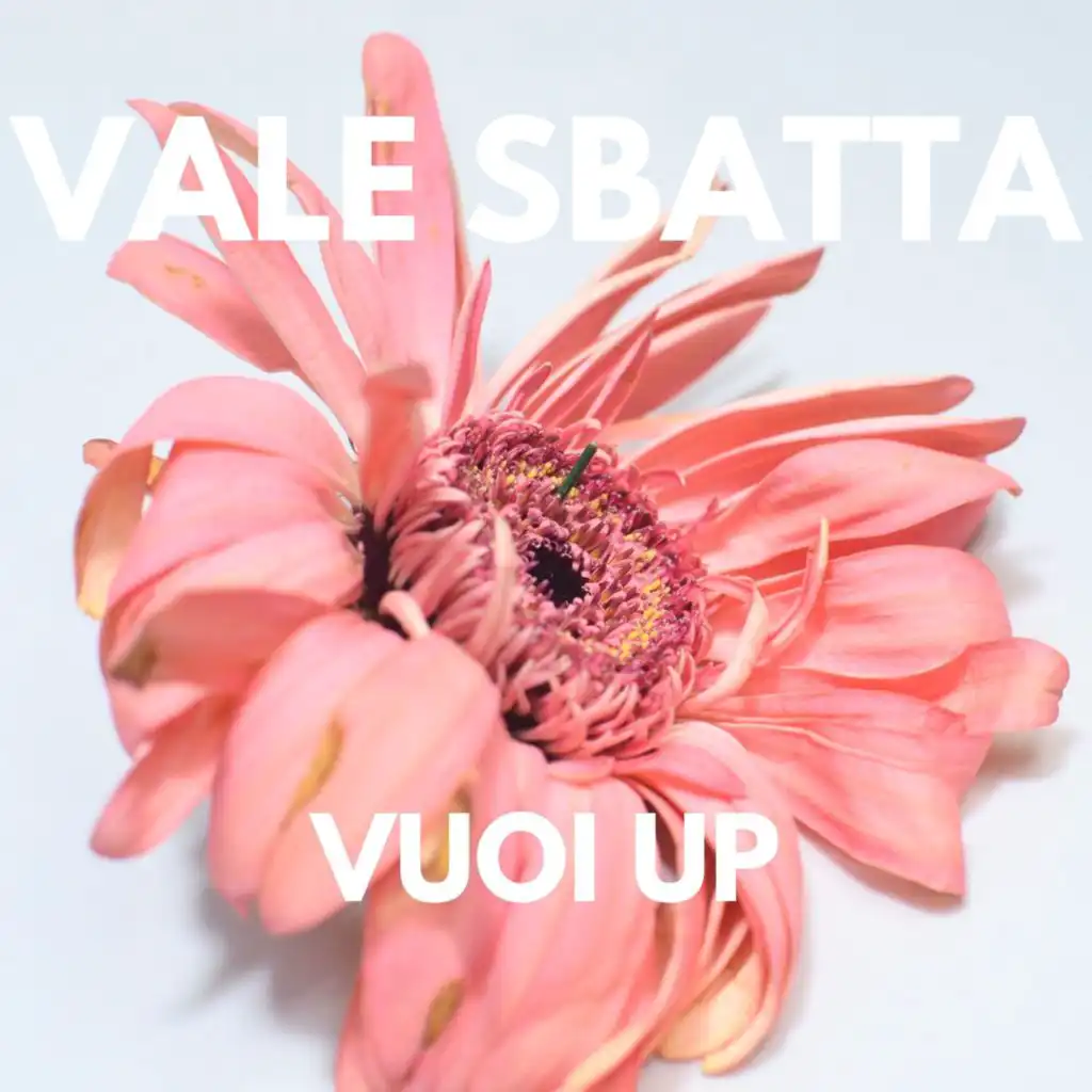 VUOI UP