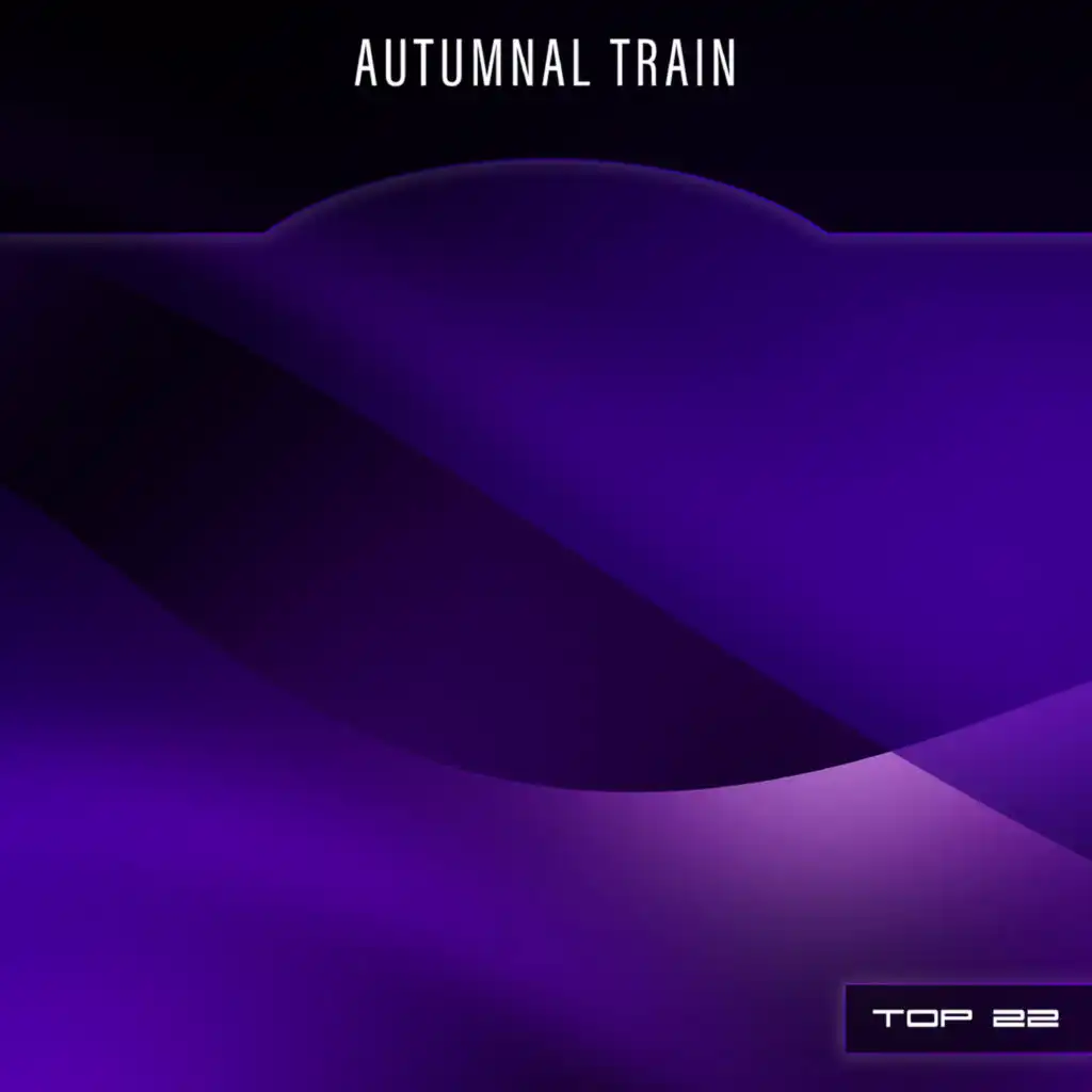 Autumnal Train Top 22