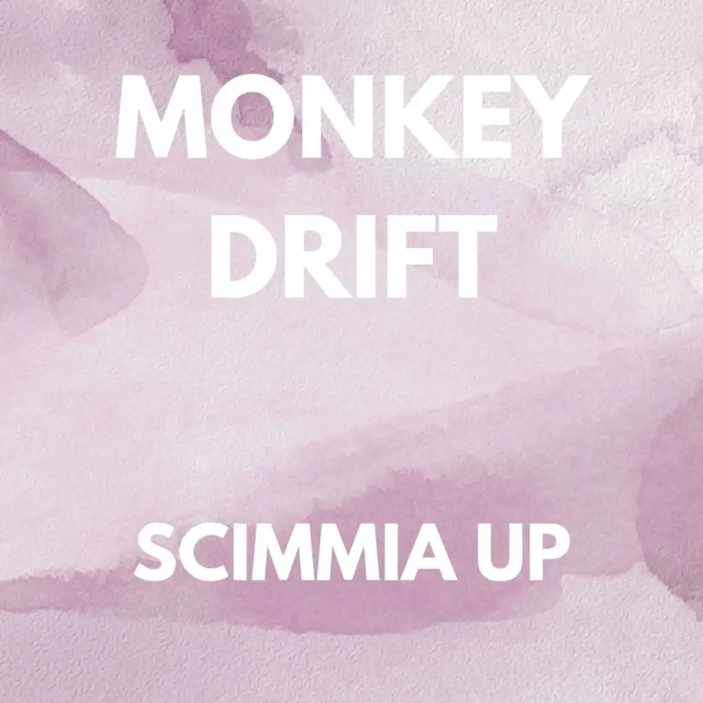 SCIMMIA UP