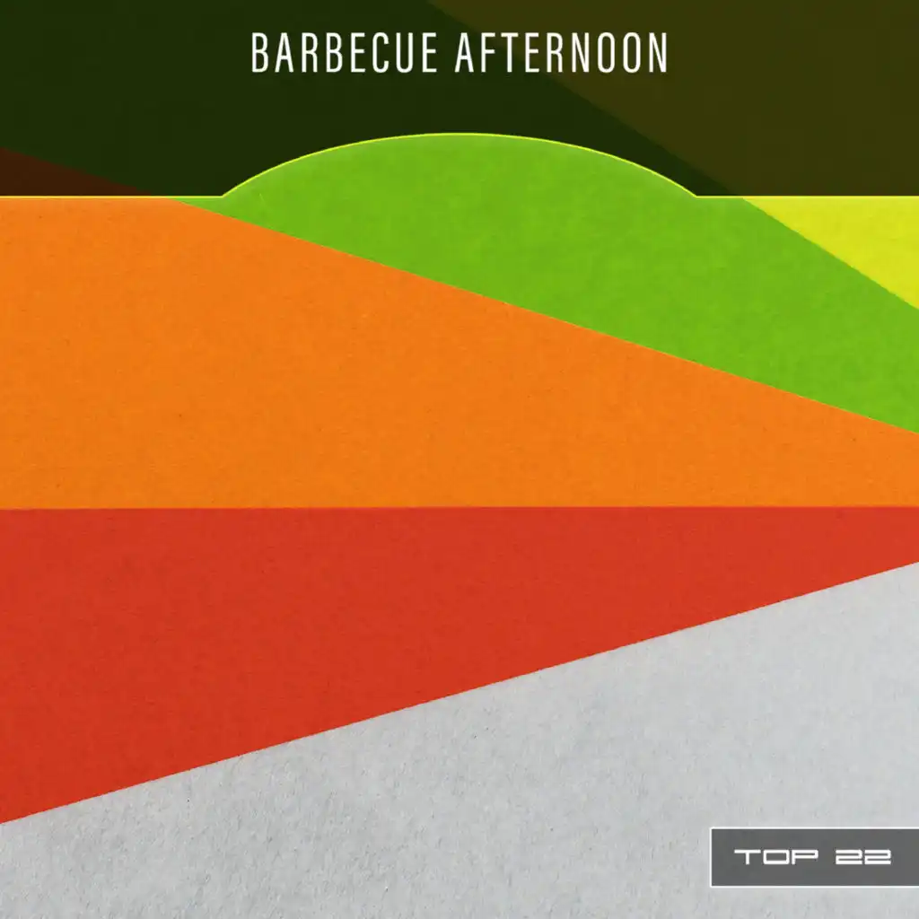 Barbecue Afternoon Top 22