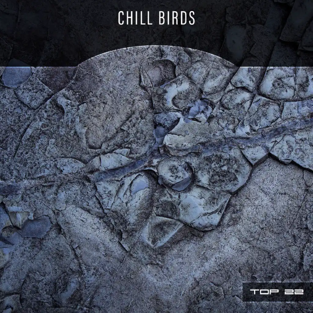 Chill Birds Top 22