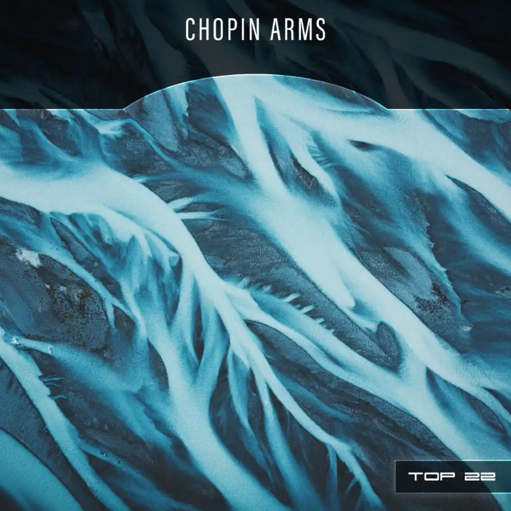 Chopin Arms Top 22