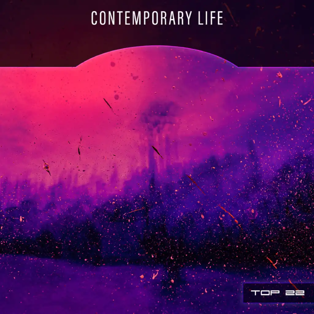 Contemporary Life Top 22