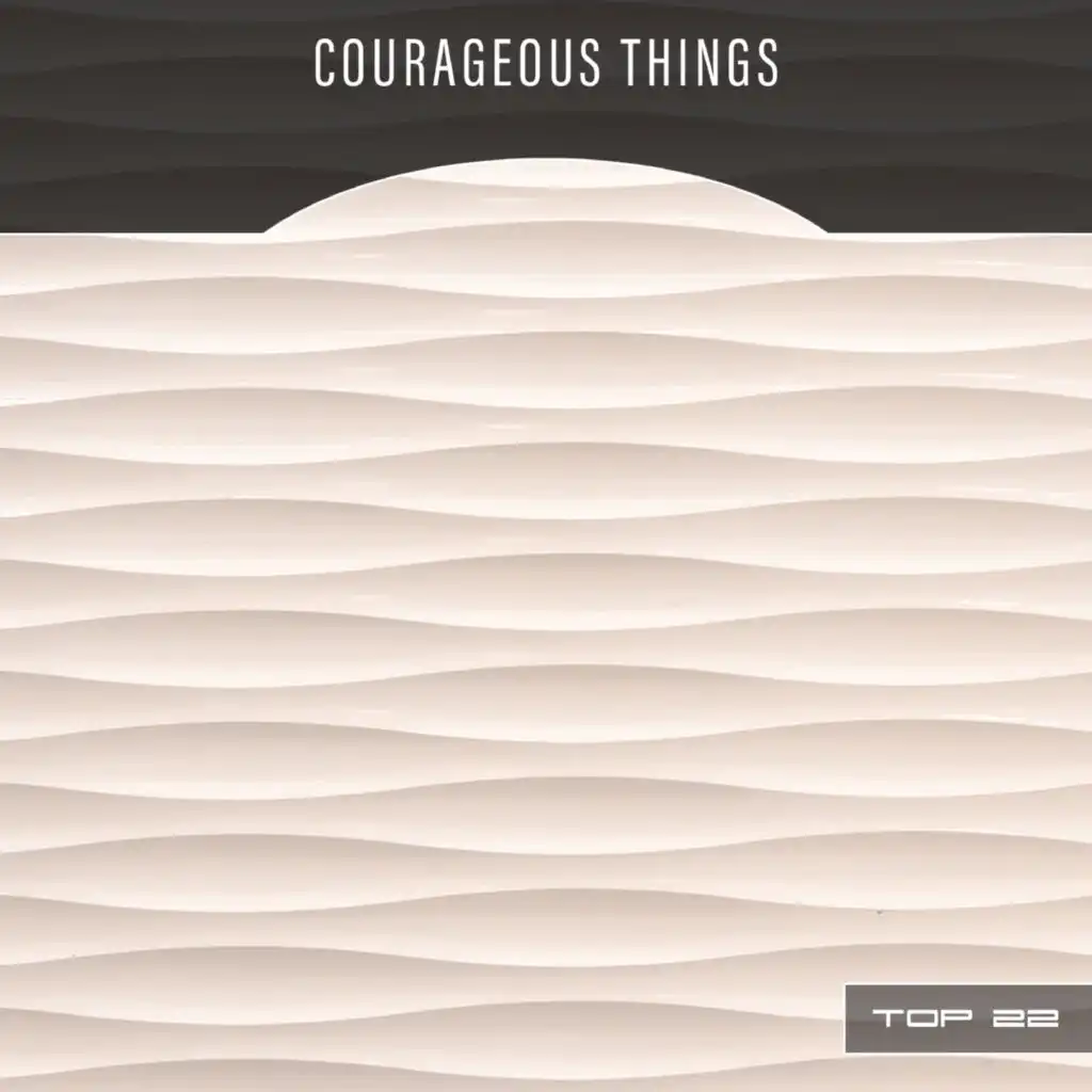 Courageous Things Top 22