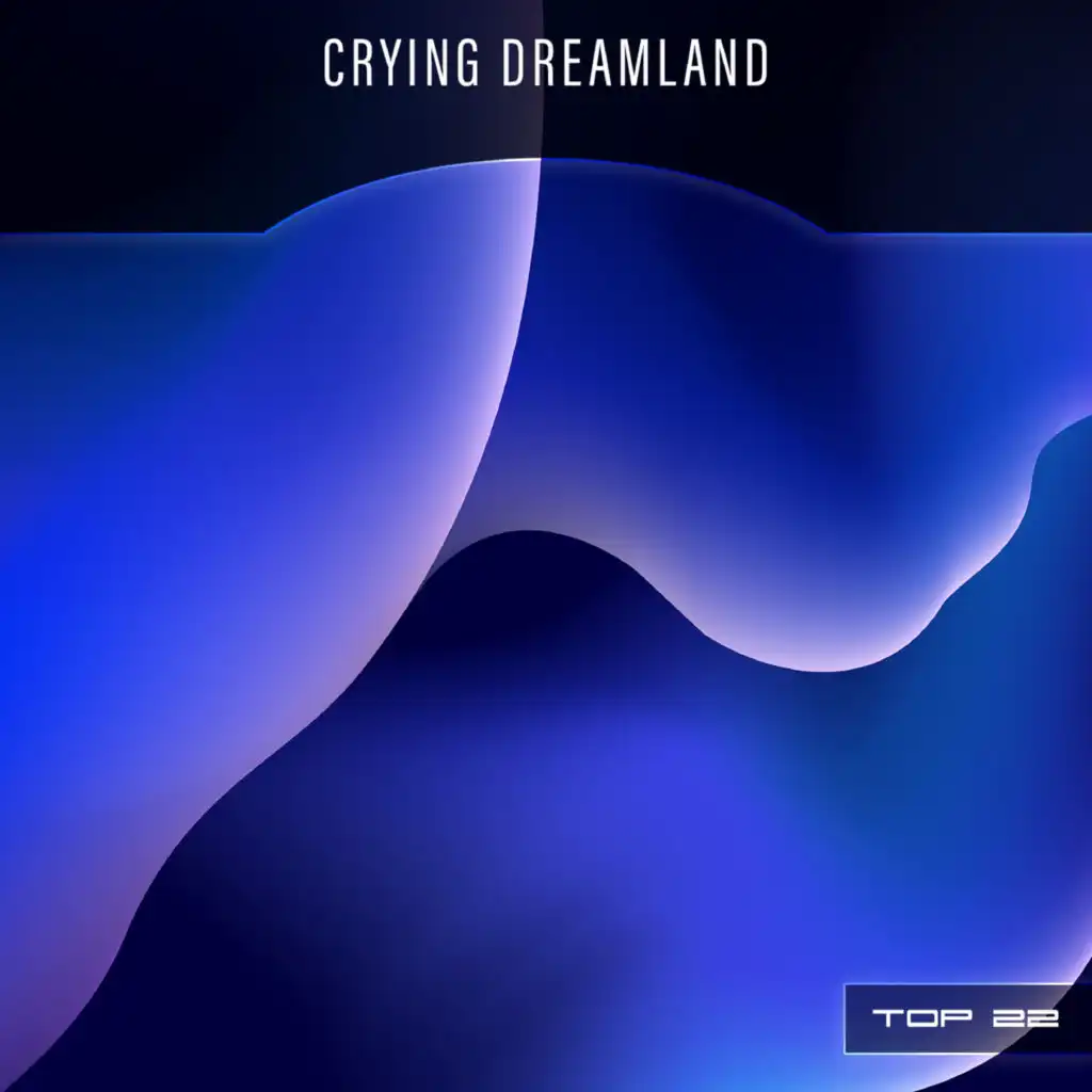 Crying Dreamland Top 22