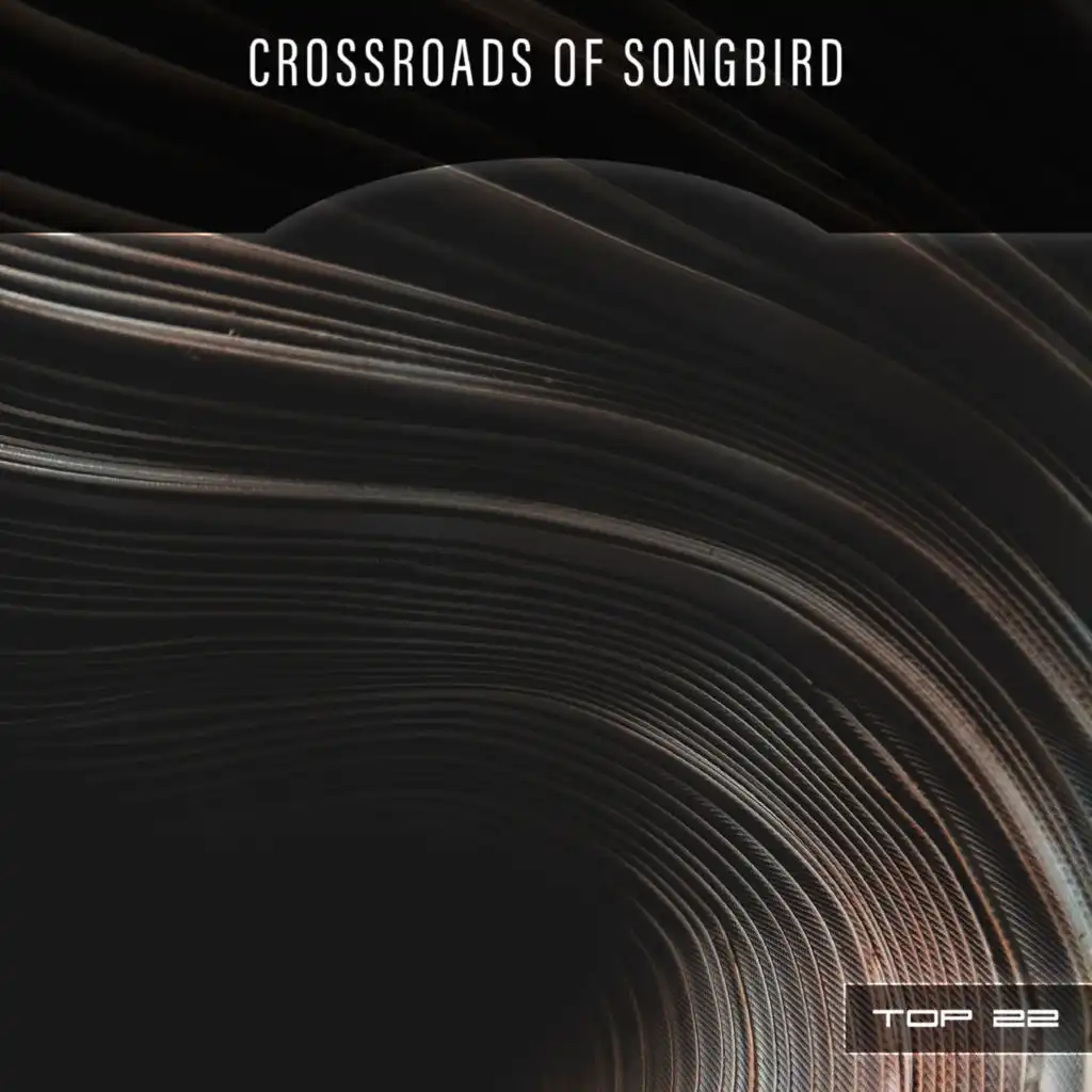 Crossroads Of Songbird Top 22