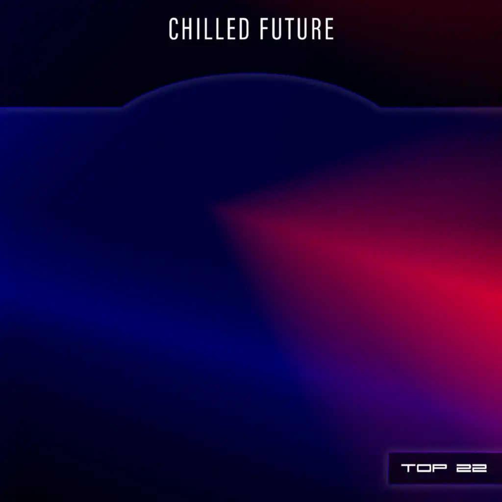 Chilled Future Top 22