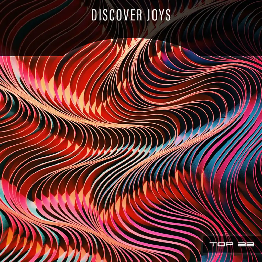 Discover Joys Top 22