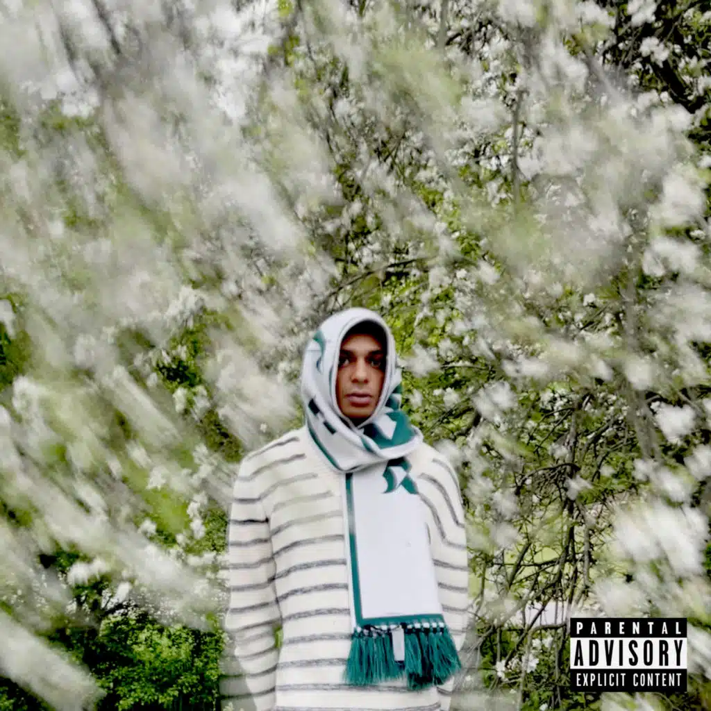 Mon Ami (feat. Vercetti CG)