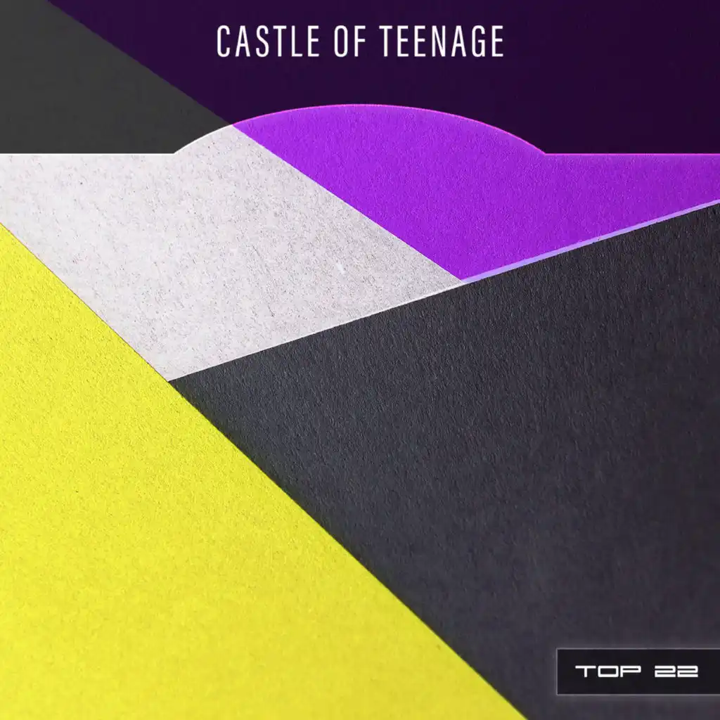 Castle Of Teenage Top 22