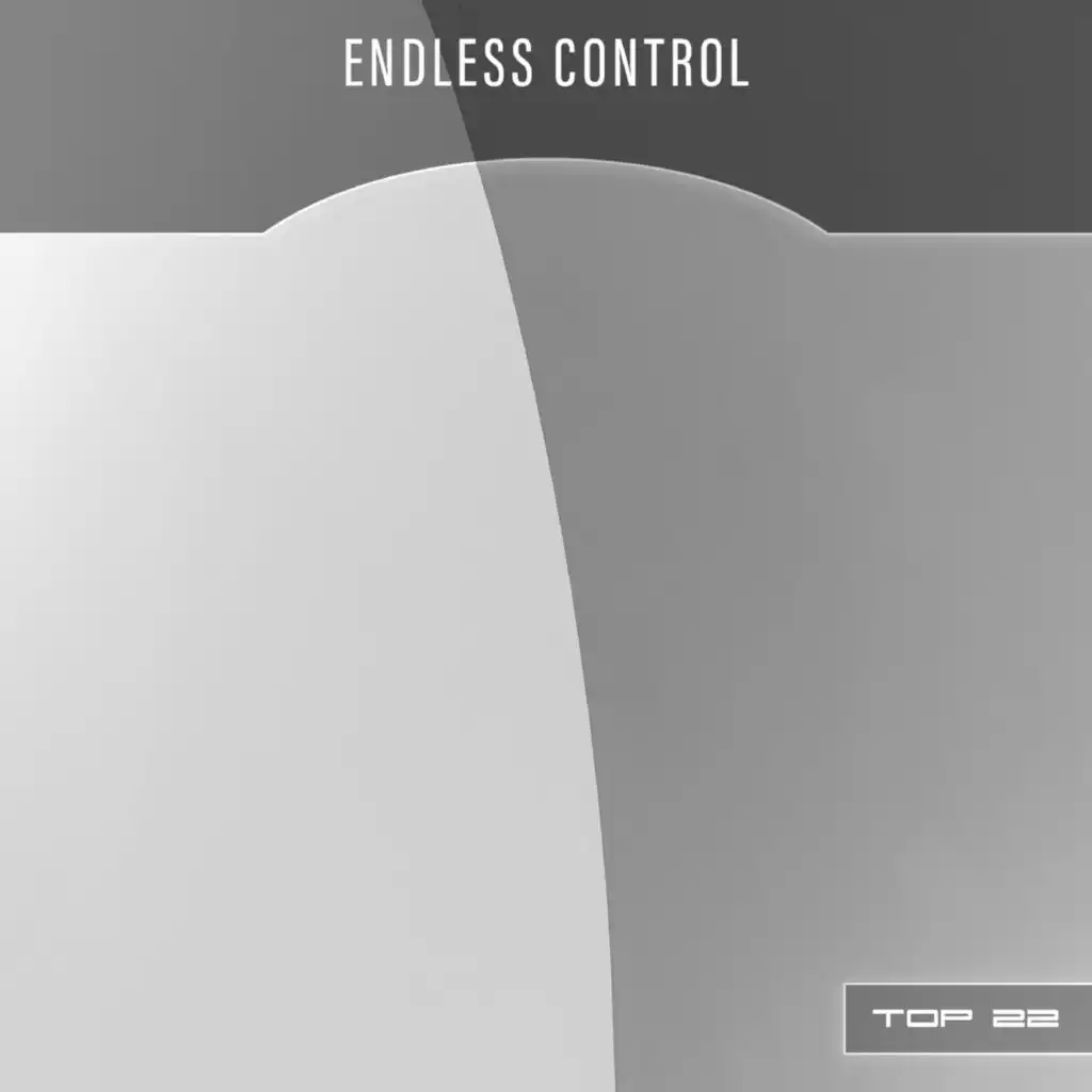 Endless Control Top 22