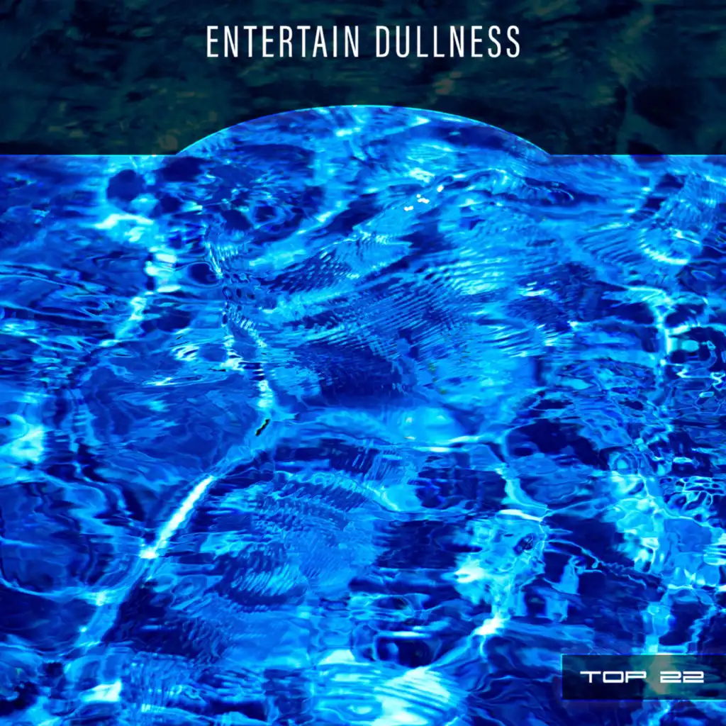 Entertain Dullness Top 22