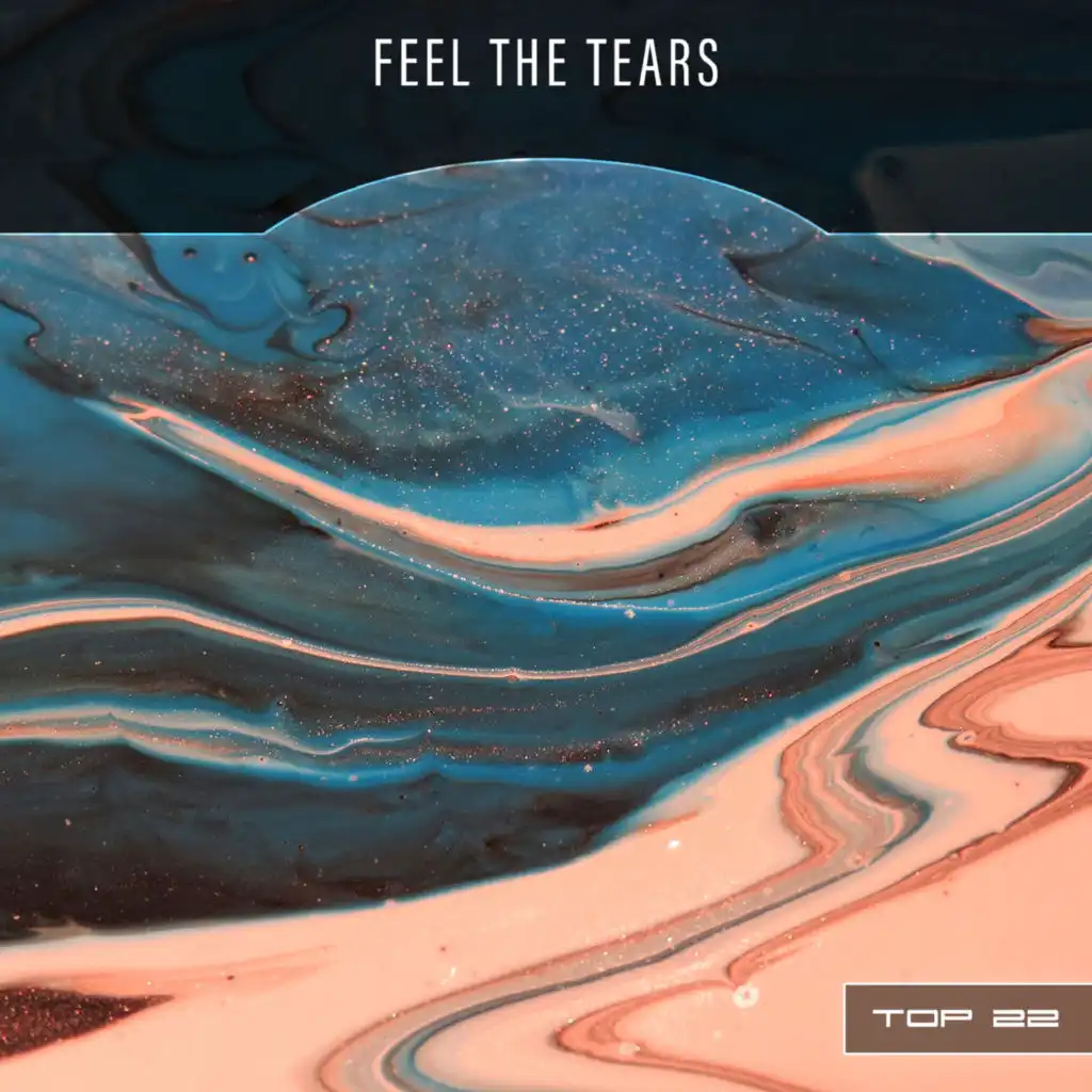 Feel The Tears Top 22